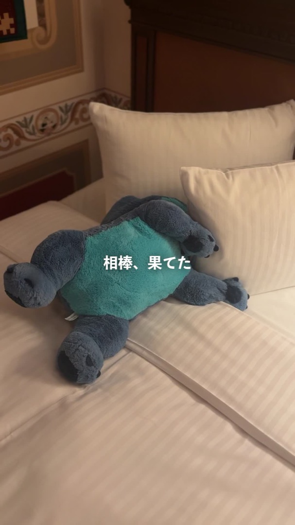 自分で選んだスティッチ